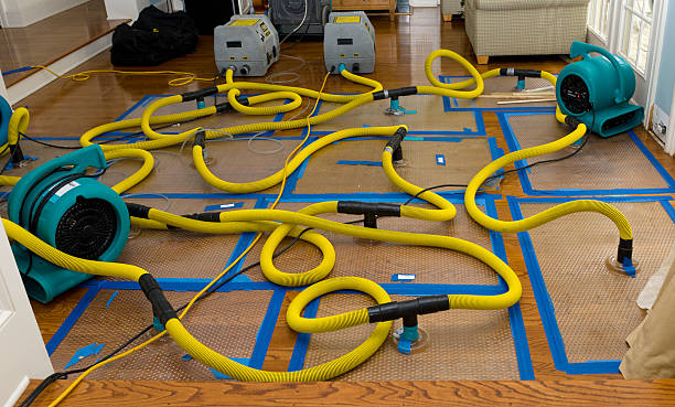 Professional Basement Flood Cleanup technician working in Manasquan, NJ